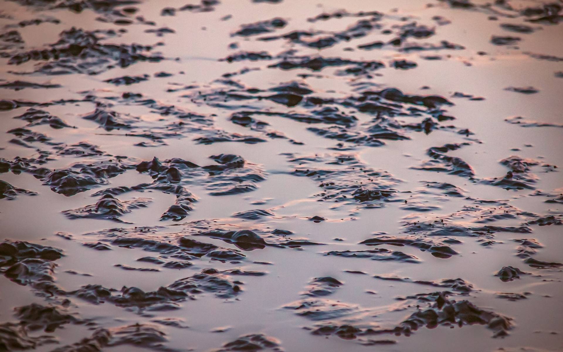 Sorge um Klärschlammgerüche in Leverkusen