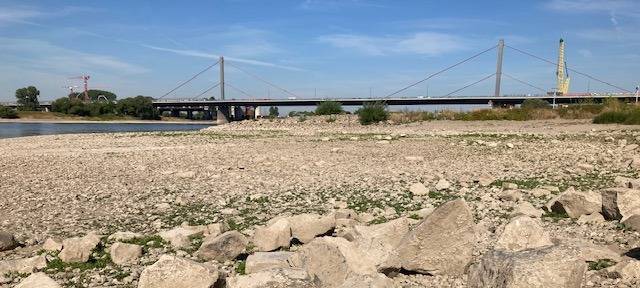 Leverkusen: Sorge vor höheren Schadstoffwerten im Rhein
