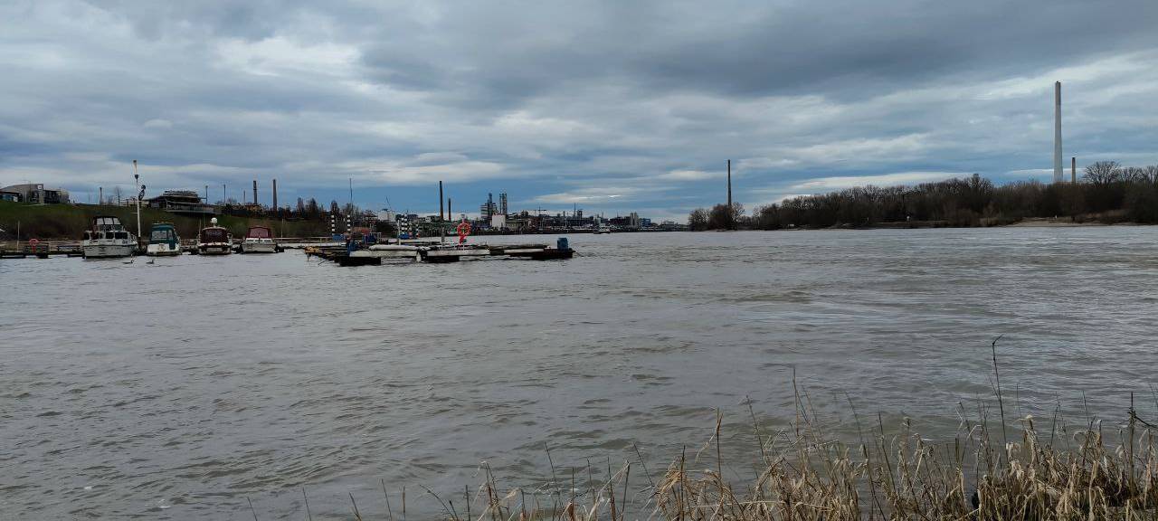 Leverkusen: PFAS im Rhein sorgen für Kritik aus dem Ausland
