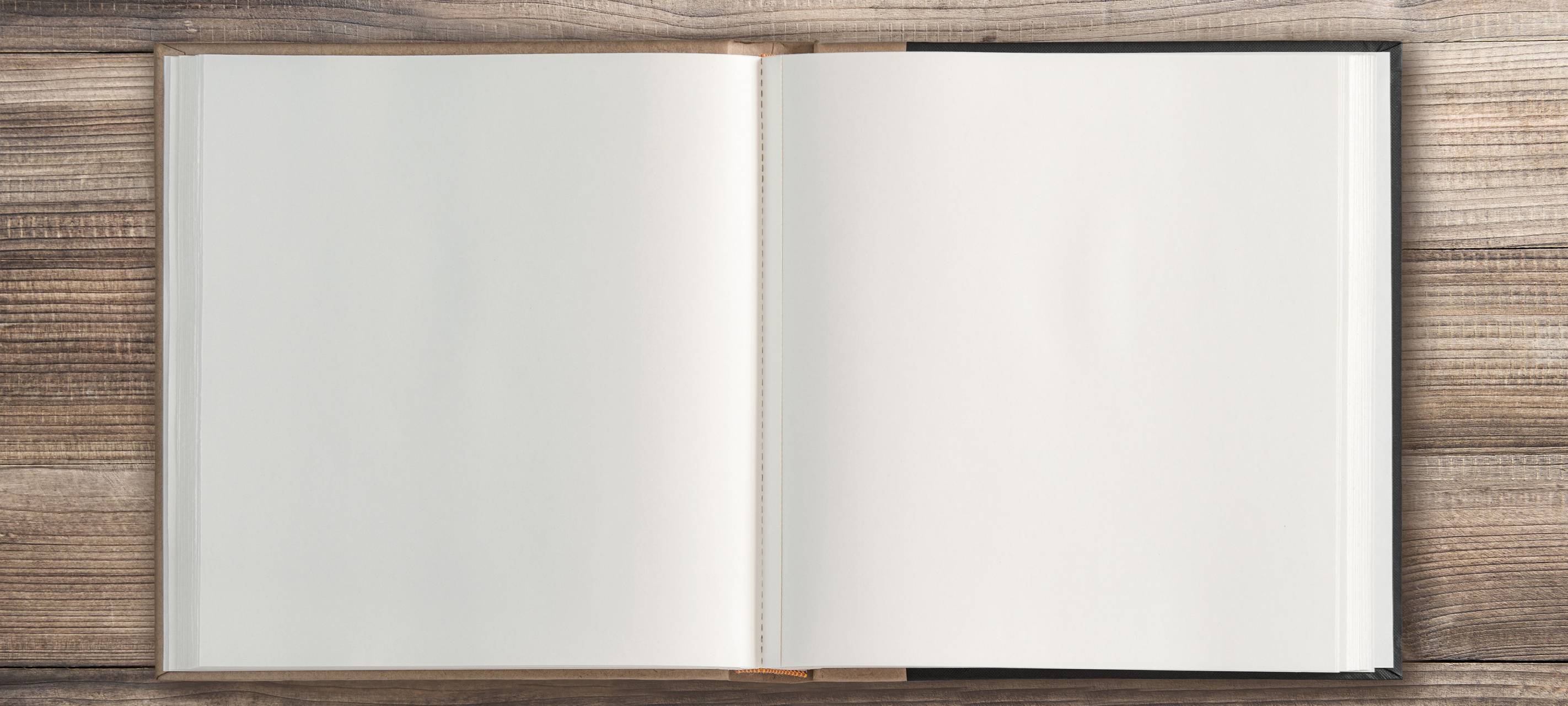 Rudi Pawelka - Einsatz im Bund der Vertriebenen