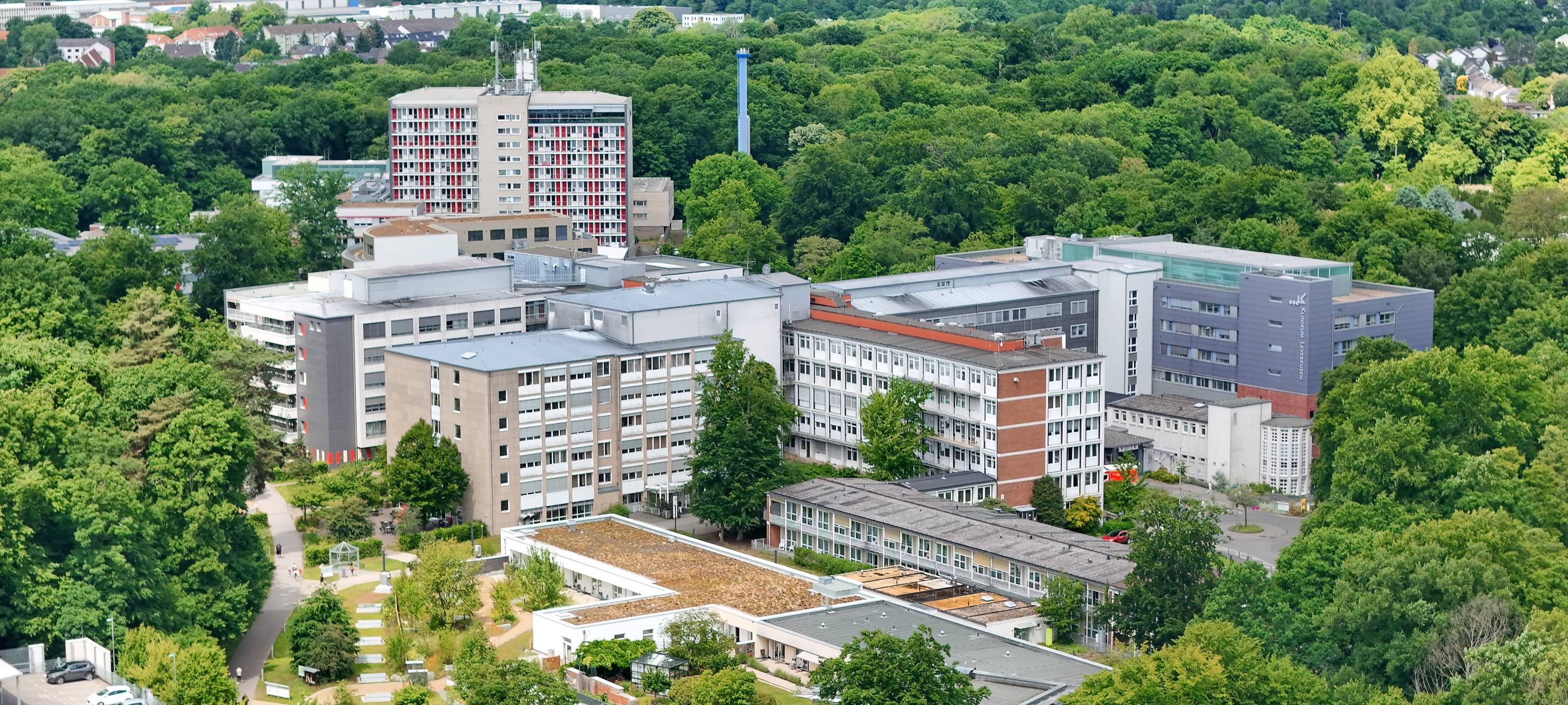 Darum ist die Kaiserschnitt-Rate in Leverkusen hoch