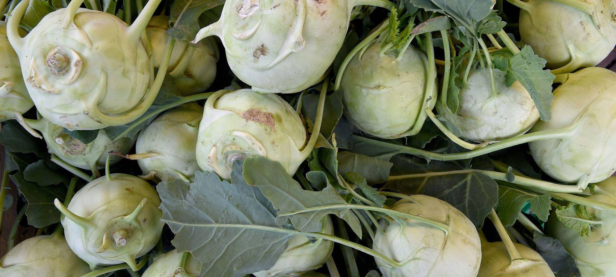 Kohlrabi mit Blättern