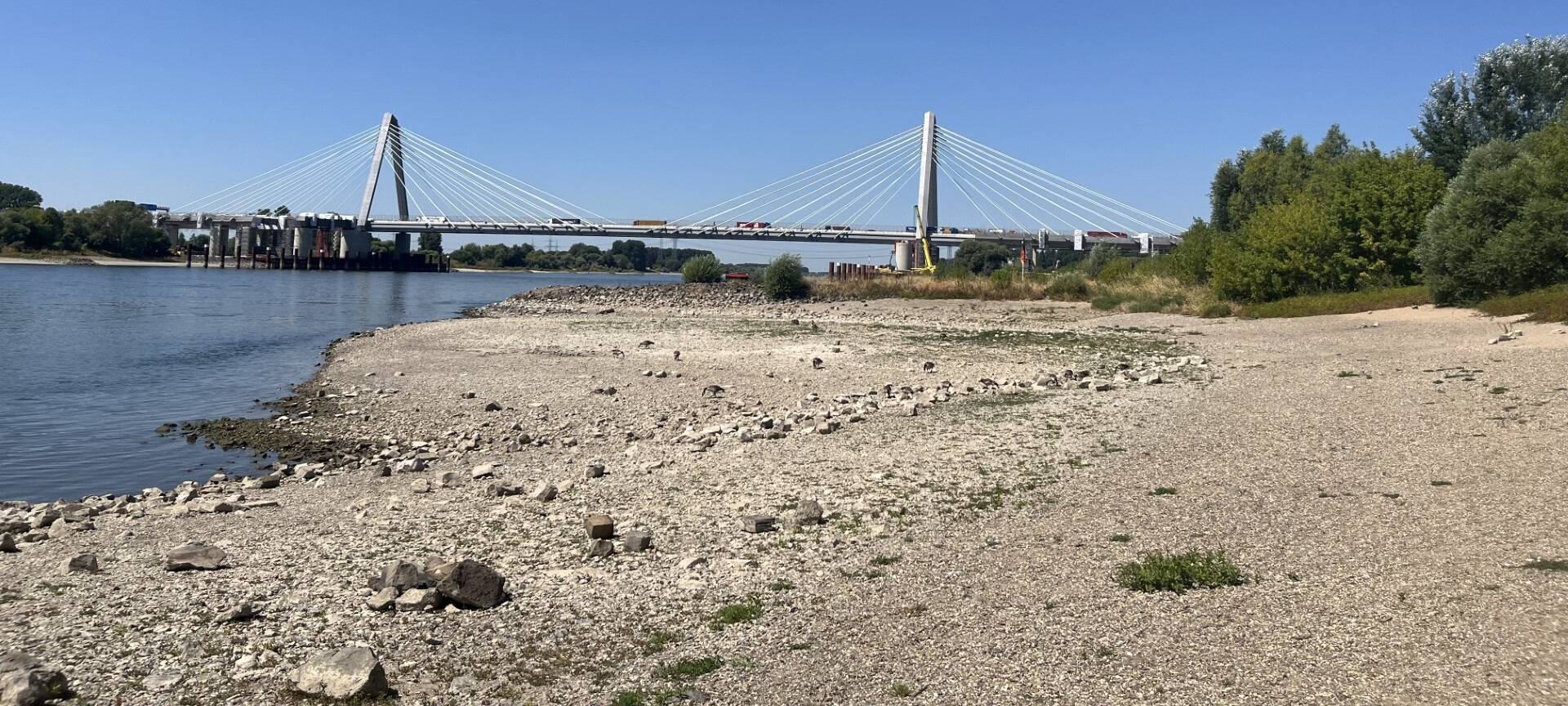 Niedrigwasser in Leverkusen: Schnelle Optimierung gefordert
